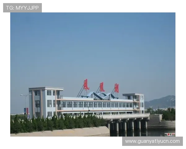 半岛体育网页版入口VIP会员权益详解，享受专属特权与优质服务