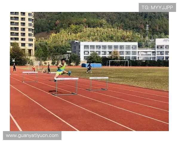 新宝体育用户评价与反馈:真实体验助你选择最优体育平台 新宝体育用户评价与反馈:真实体验助你选择最优体育平台