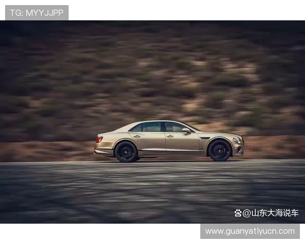 飞驰旗舰厅品牌历史与发展历程揭秘引领豪华车行业新方向