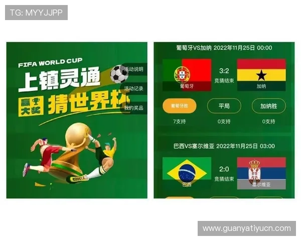 世界杯竞猜入口在哪，详细介绍官方平台入口地址及参与流程全攻略